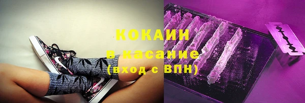 ECSTASY Богданович